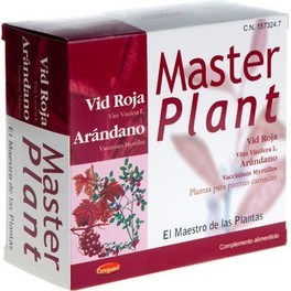 Masterplan Masterplant Vid Roja Arandano 20 Amp