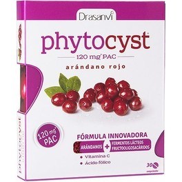 Drasanvi Phytocyst 30 comp
