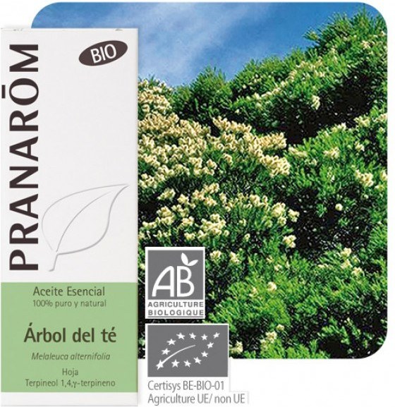 Pranarom Arbol Del Te Hoja 10 Ml Pranarom Arbol Del Te Hoja 10 Ml