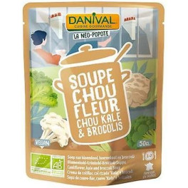 Danival Crema De Coliflor Y Kale Bio 520 Gr