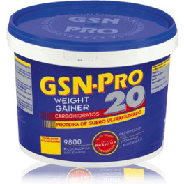 Gsn Pro 20 Fresa 2,5 Kg