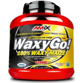 Amix Waxy Go ! 2 kg Glucides Amylopectine Sans Aspartame / Aide à Améliorer les Performances Physiques
