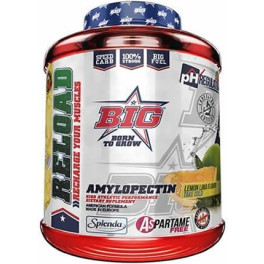 BIG Reload Amylopeptine 2 kg