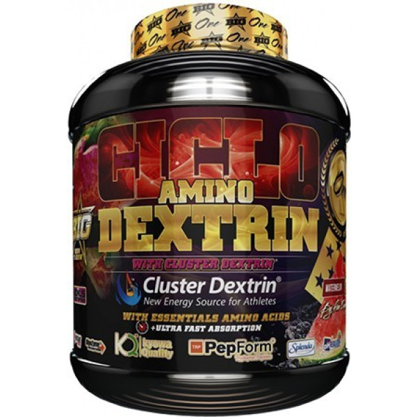 BIG Ciclo Amino Dextrin 1,5 Kg