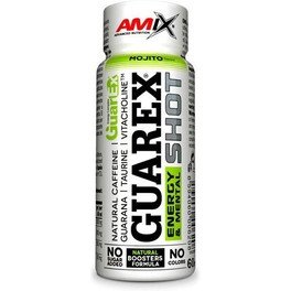 Amix Guarex Energy & Mental Shot 1 Fläschchen x 60 ml