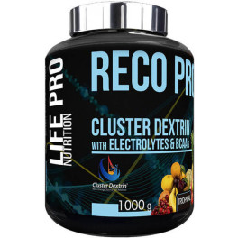 Life Pro Recopro Cluster Dextrine avec BCAA et électrolytes 1Kg