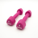 2 Mancuernas de 1 Kg Ziva Chic Studio Rosa