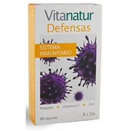 Vitanatur Defensas 30 caps Vitanatur Defensas 30 caps