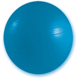 Goodbuy Fitness Fitball Balón De Gimnasia De 55 Cm
