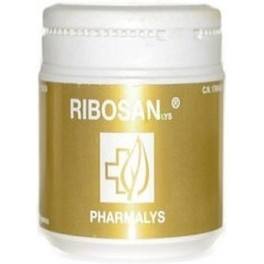 Pharmalys Ribosan 310 Gr Polvere