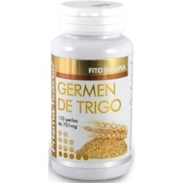 Prisma Natural Germen de Trigo 110 Cáps. Prisma Natural Germen de Trigo 110 Cáps.