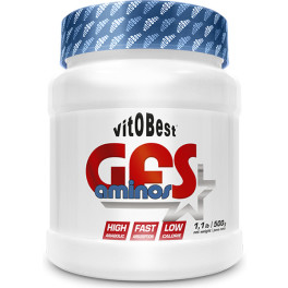 VitOBest GFS-Aminos 500 gr