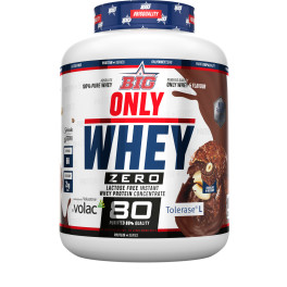 Big Only Whey Tolerase Concentrate Protein 2 Kg