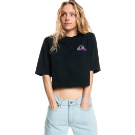 Quiksilver Womens Cropped Loose Mid-sleeve Tee For Women Anthracite - Solid (kvj0)