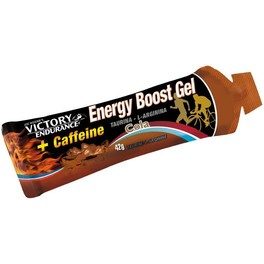 Victory Endurance Energy Boost Gel con caffeina 1 gel x 42 grammi
