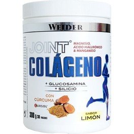 Weider Joint Collagene + Glucosamina + Silicio 300 Gr