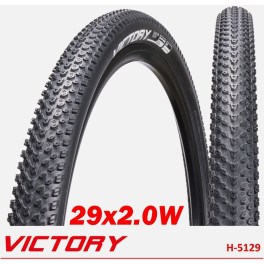 Chaoyang Victory 29 X 2.0 Wire Black