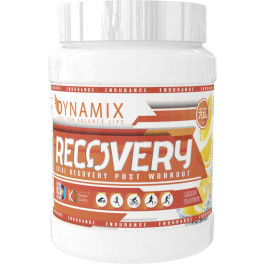 Dynamix Recovery Recuperador Muscular 700 Gr