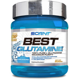 Scenit Best Glutamine - L-glutamina En Polvo Para El Crecimiento Muscular Y La Recuperación Post Entrenamiento - 500 G - Glutam