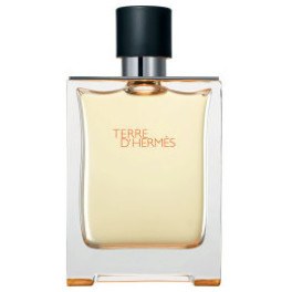 Hermes Terre D'hermès Eau de Toilette Spray 200ml Masculino