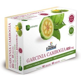 Nature Essential Garcinia Cambogia 800 Mg Ext Seco 60 % Hca 60 Cap