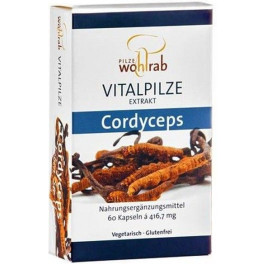 Pilze Wohlrab Cordyceps Sinensis 60 Caps