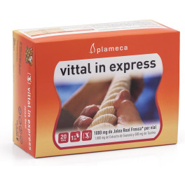 Plameca Vittal In Express Jalea Real 20 Ampollas De 10ml