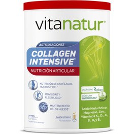Vitanatur Collagen Intensive 360g