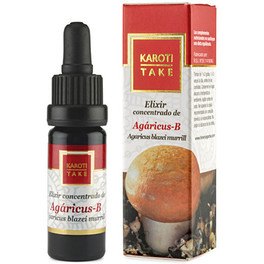 Hiranyagar Karoti Take Agaricus B