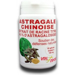 Vitalosmose Astrágalo Chino 60 Cápsulas
