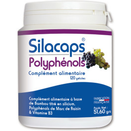 Labo Sante Silice Silacaps Polifenoles 120 Cápsulas