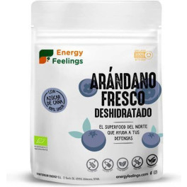 Energy Feelings Arándano Eco Deshidratado 150 G (arándanos)