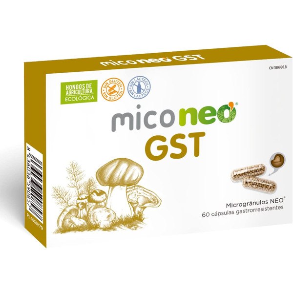 Mico Néo Gst 60 Gélules
