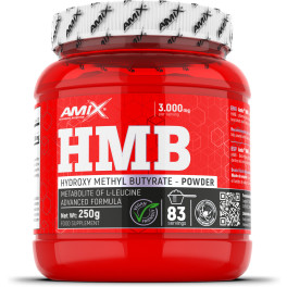 Amix Hmb Polvere 250 Gr