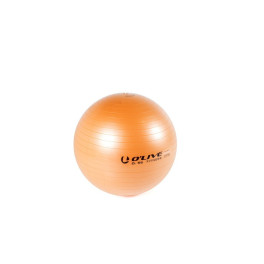 O´live Fitness Ball ø 55 Cm Naranja