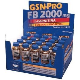 Gsn Pro Fb 2000 20 Viales