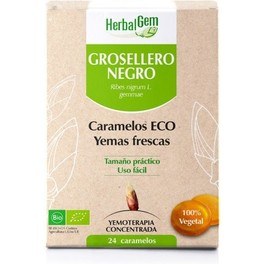 Herbalgem Grosellero Negro Bio 24 Caramelos