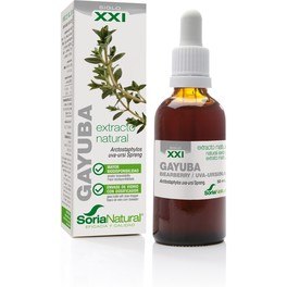Soria Natürlicher Bärentraubenextrakt S Xxi 50 ml