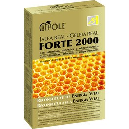 Intersa Bipol Jelly Forte 2000 20 Ampere