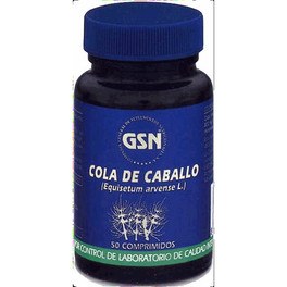 Gsn Horse Tail 800 Mg 80 Comp