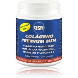 Gsn Colageno Premium Msm 254gr