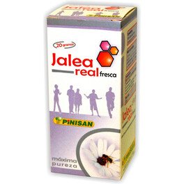 Pinisan Jalea Real Fresca 20 Gr