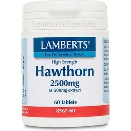 Lamberts Hawthorn 2500 mg 60 comprimidos