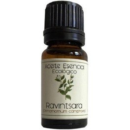 Ätherisches Labiatae-Öl. Ravinsara (Cinnamomum Camphora) 12 ml