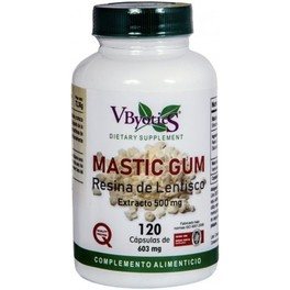 Vbyotic Mastic Gum (Extracto De Resina De Lentisco )