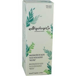Algologie Maceracion Algas Rostro 50 Ml