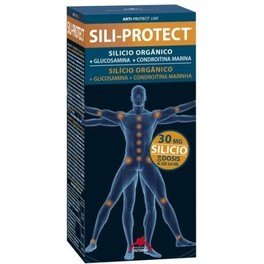 Intersa Sili-protect 500 Ml