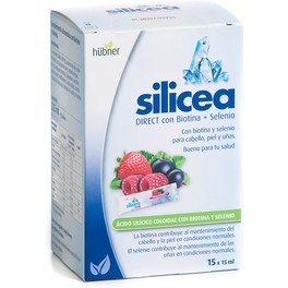 Dimefar Silicea Direct + Biotine + Sélénium 15 Sticks