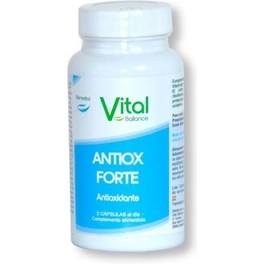 Vital Ball Antiox Forte 60 Caps