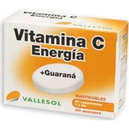 Vallesol Vit C + Guarana 24 Caps